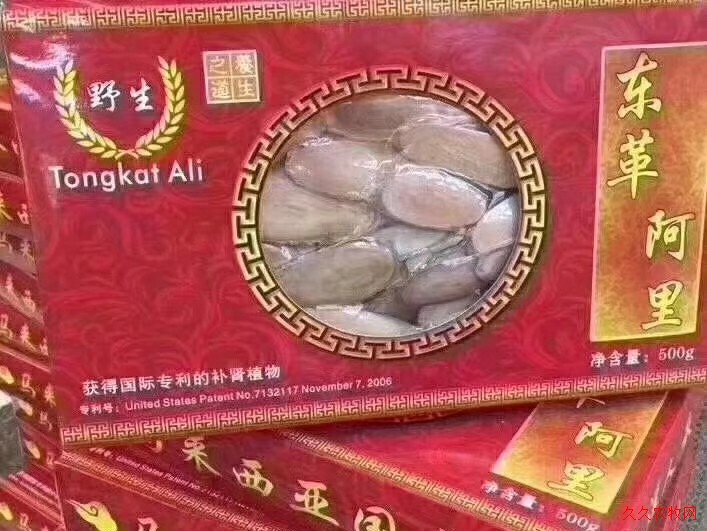 东革阿里,可以改善痛风,降低尿酸当地土著人当做滋补的食品药材