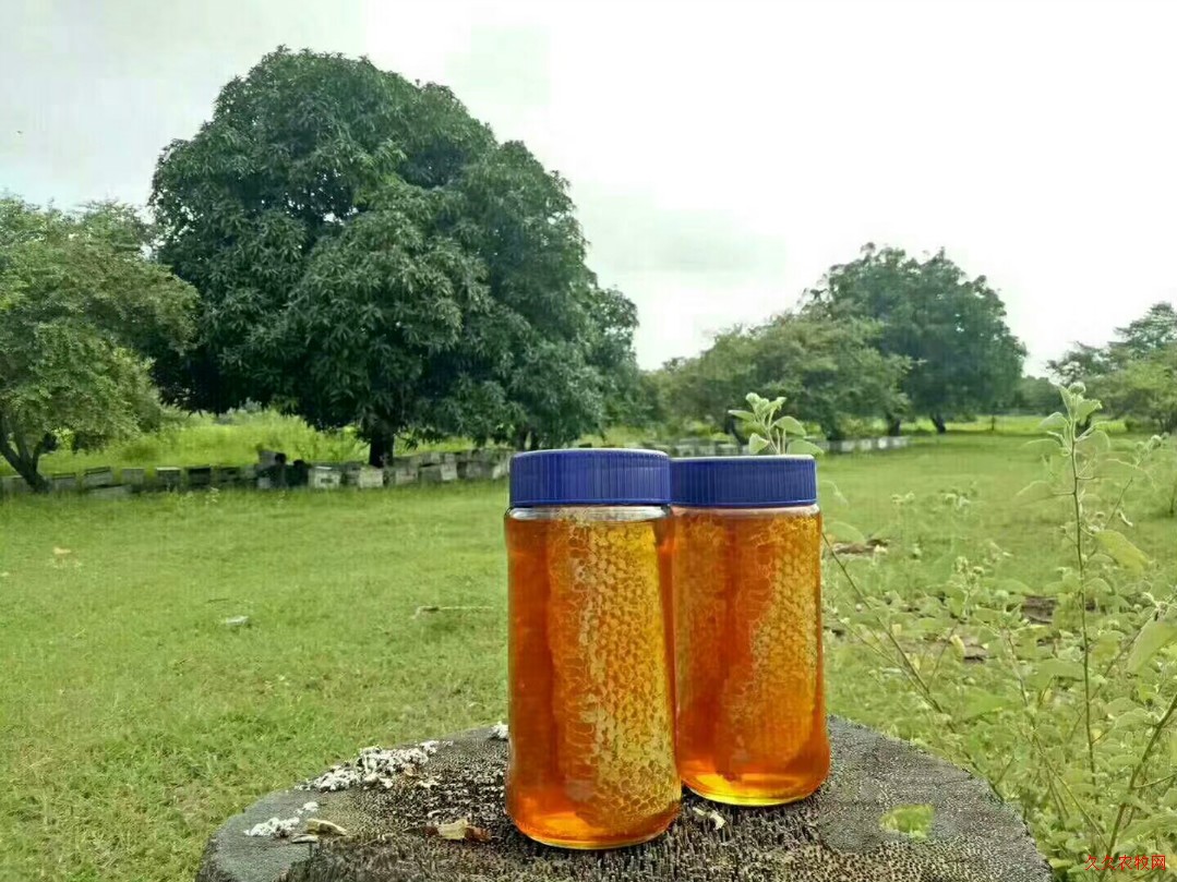 老挝野生带巢蜜,来自无污染的国度——老挝【名称】：老挝野生带巢蜜【产地】：老挝【规格】：500克/瓶【价格】：236.00 