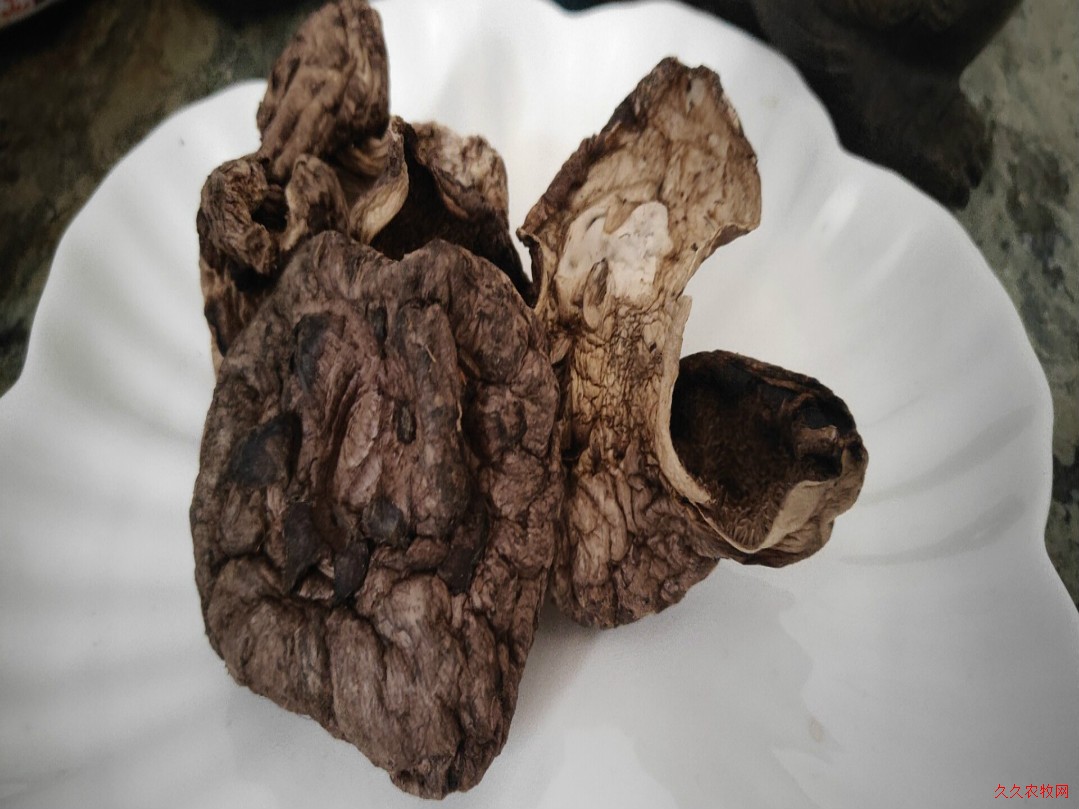    霞姐话野生菌系列之（一）——野生黑虎掌